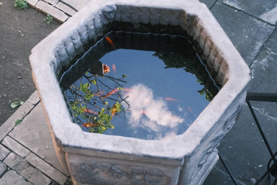 找摄影搭子