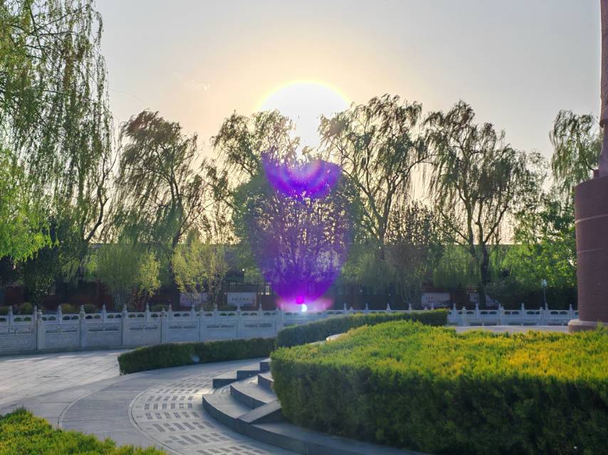 找图书搭子