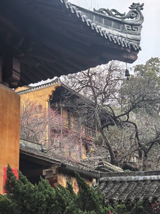 找运动搭子