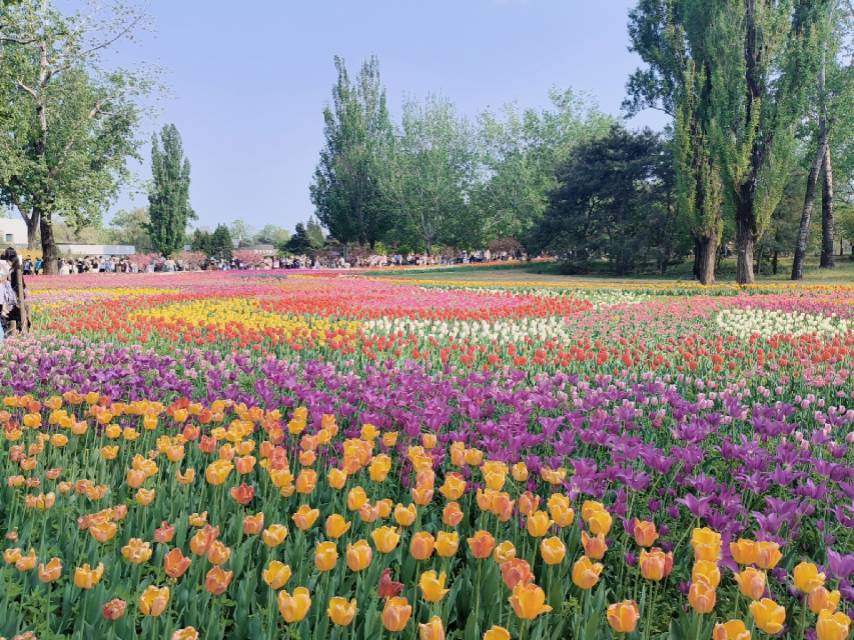 找学习搭子