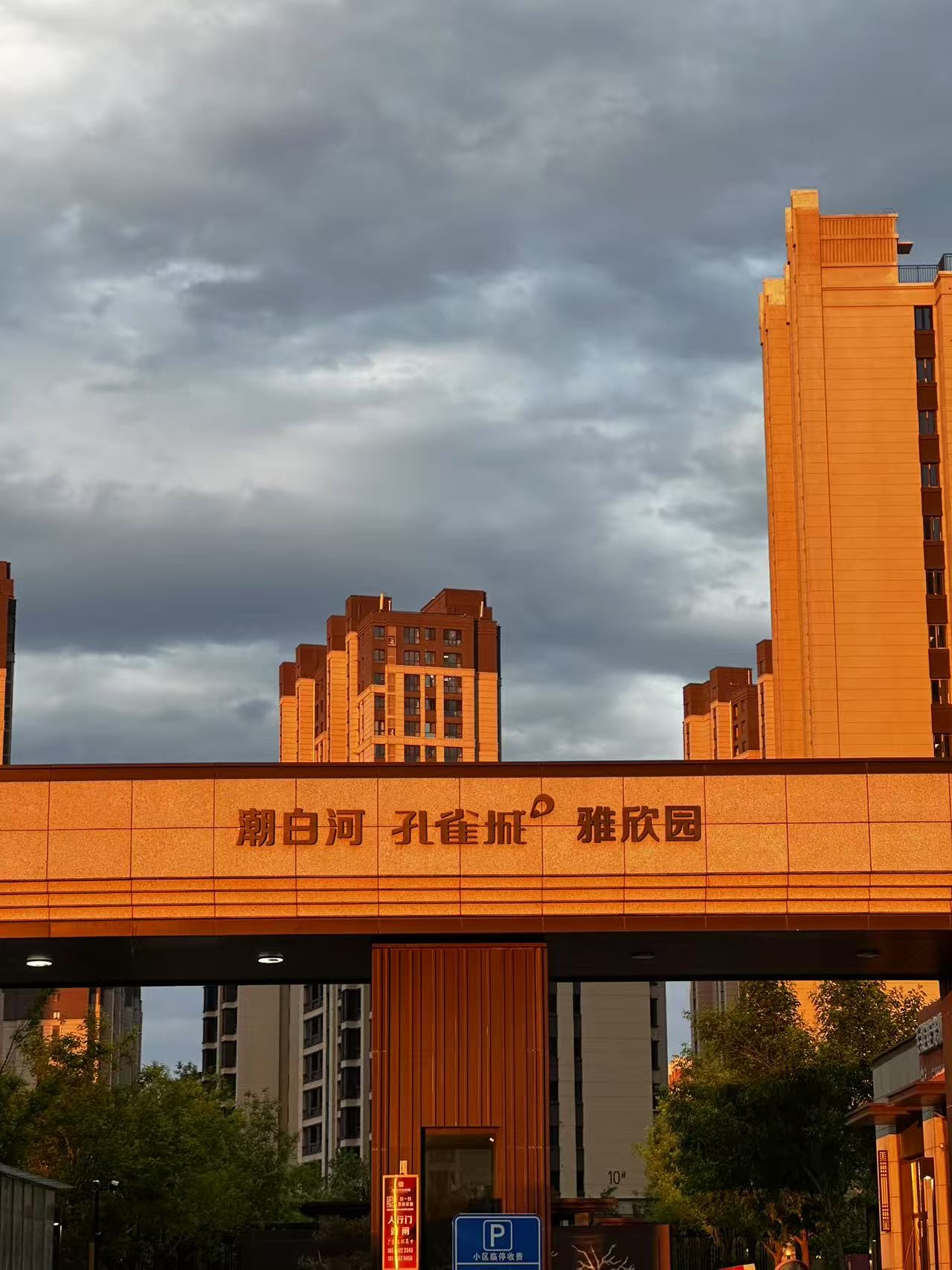 找打游戏搭子