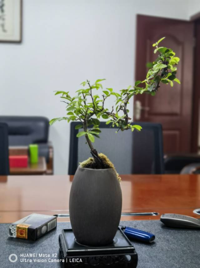找旅游搭子