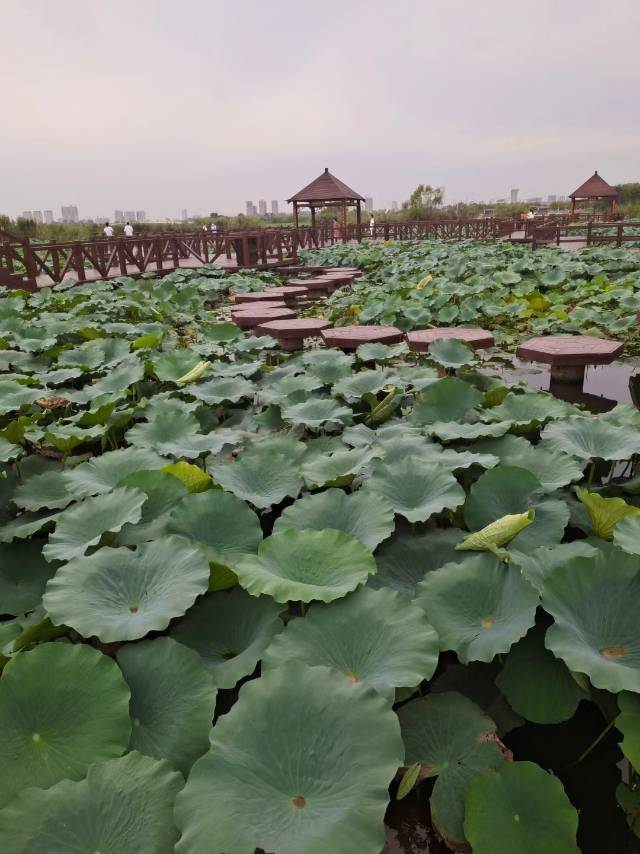 找聊天搭子