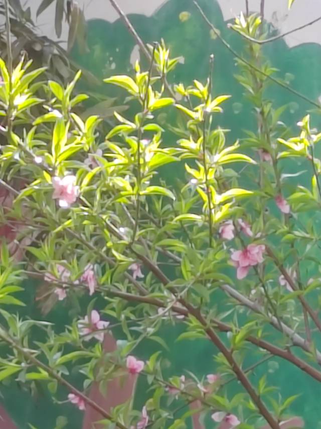 找聊天搭子