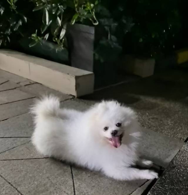 找掼蛋搭子