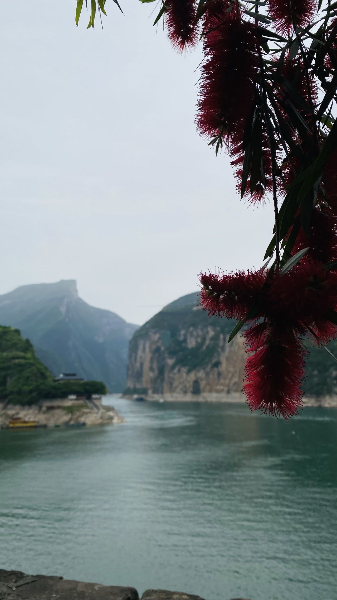 找旅游搭子