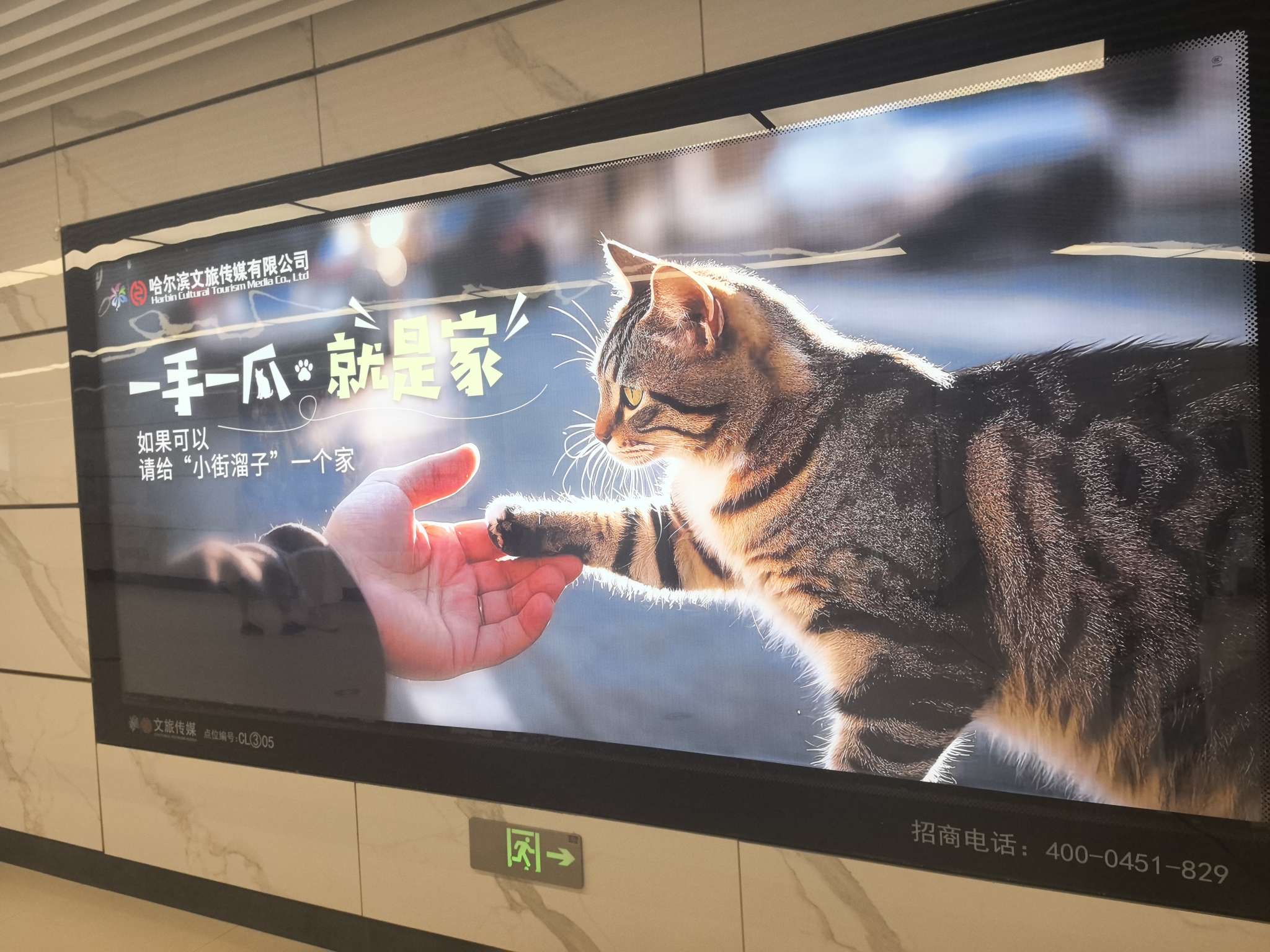 找旅游搭子