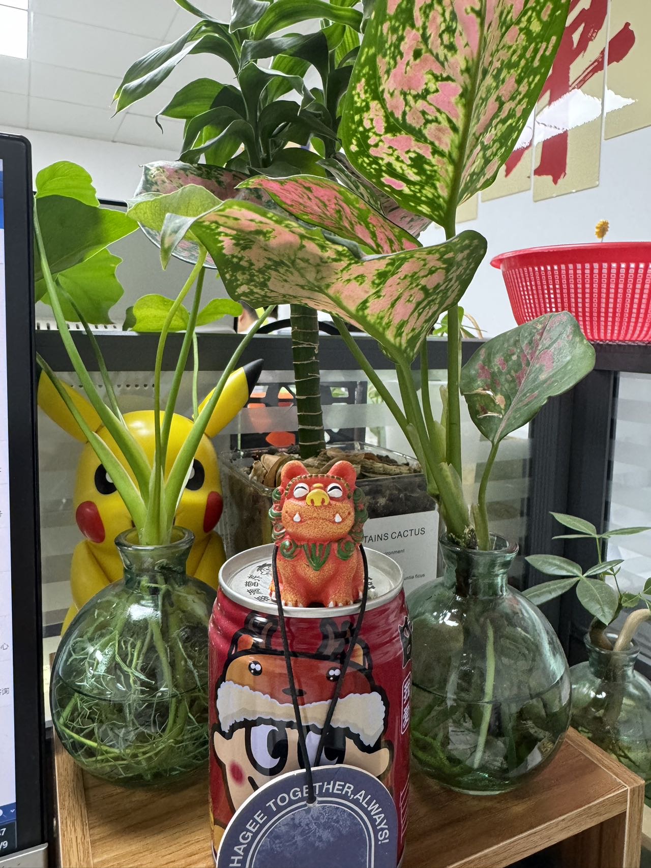 找看电影搭子