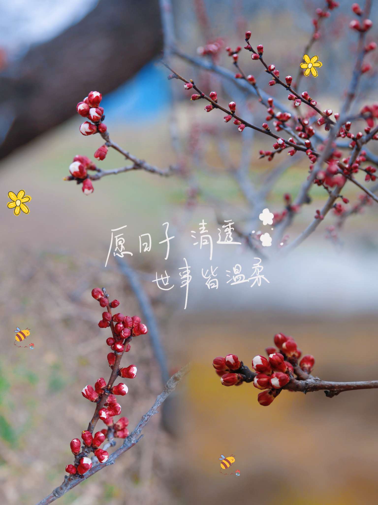 找运动搭子