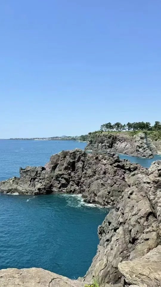 找吃饭旅游搭子