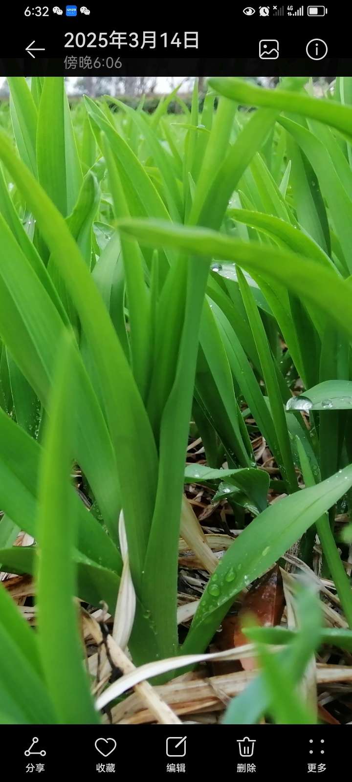 找看电影搭子