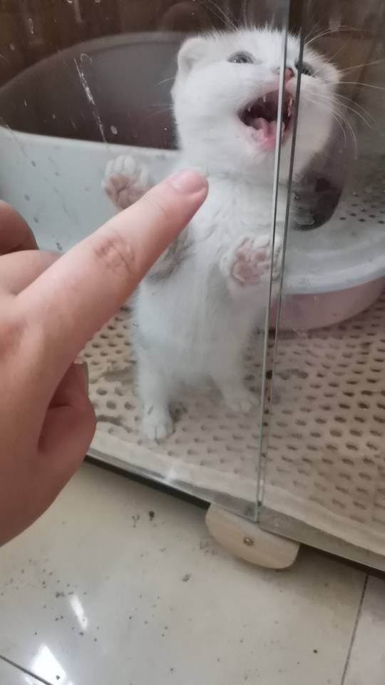 找陪伴搭子