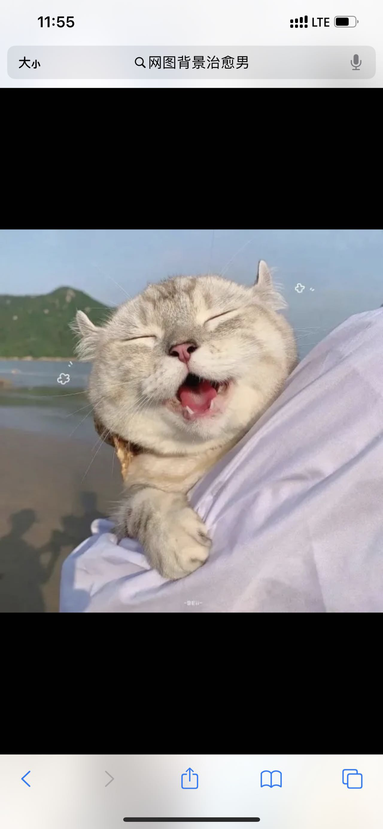 找饭搭子