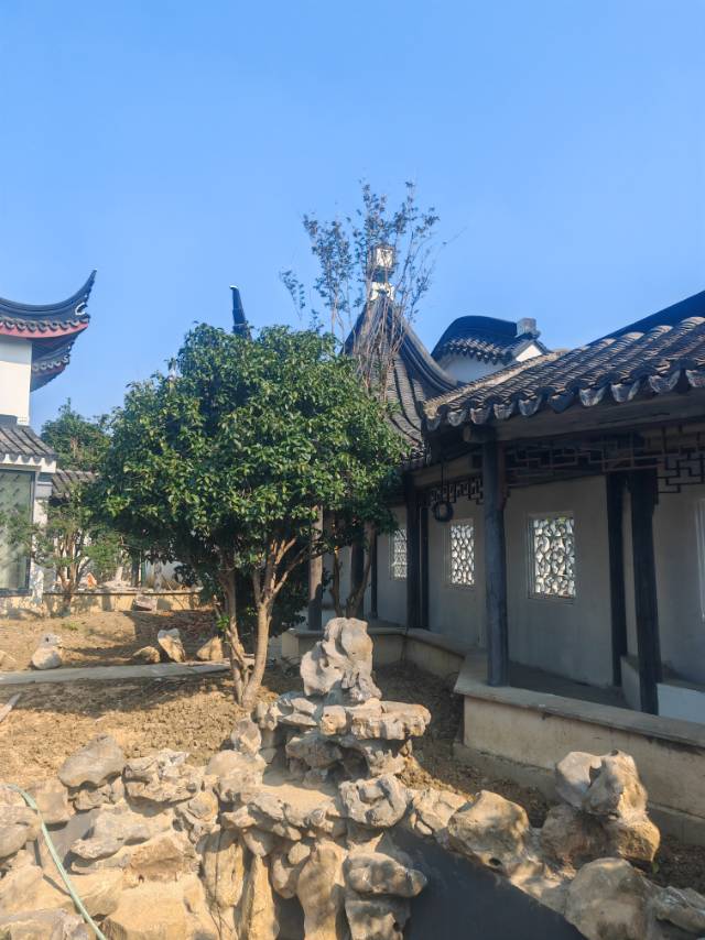 找旅行搭子