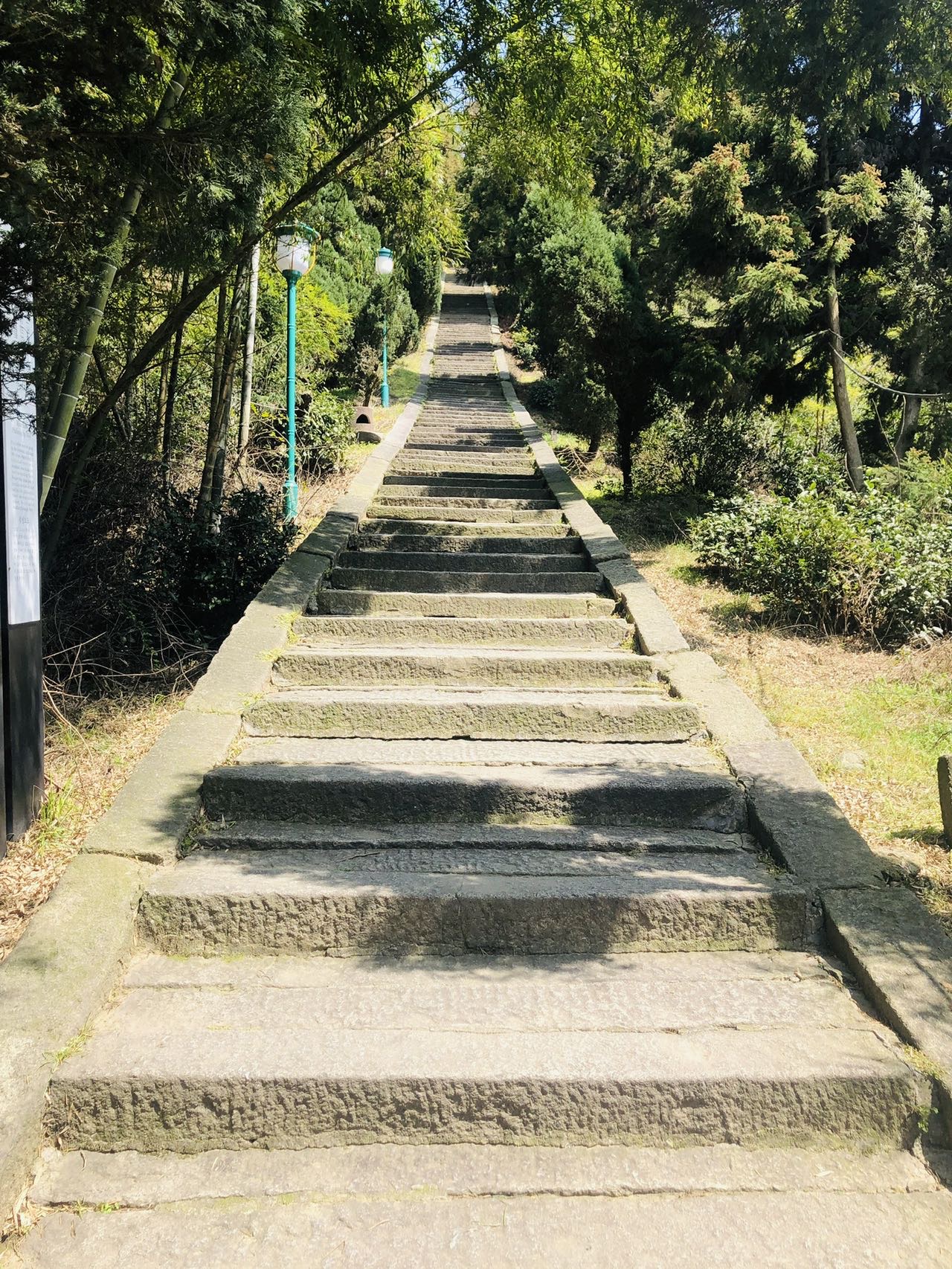 找郊游搭子