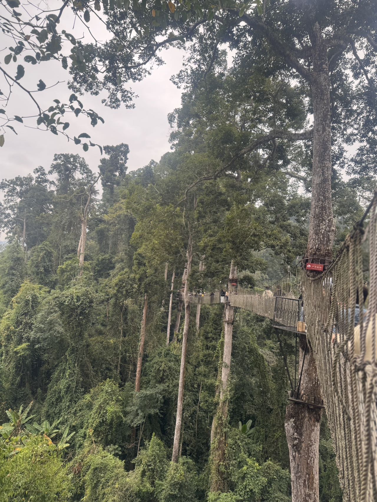 找旅游搭子