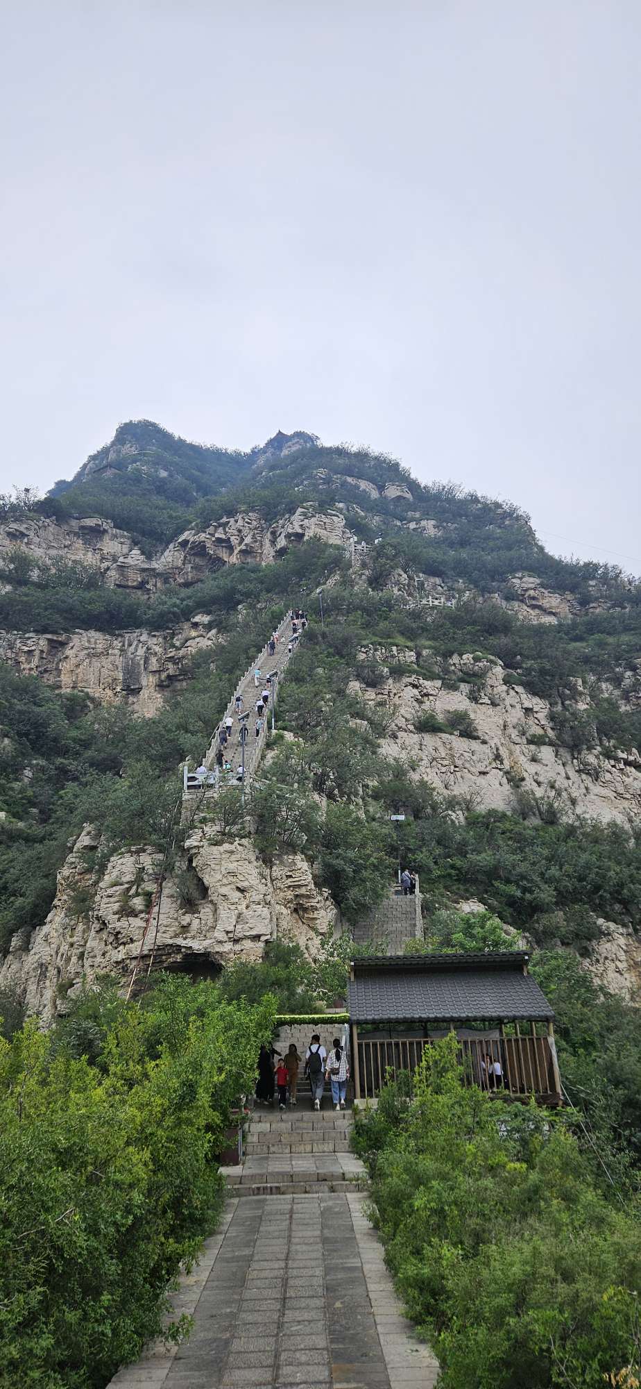 找兴趣爱好搭子