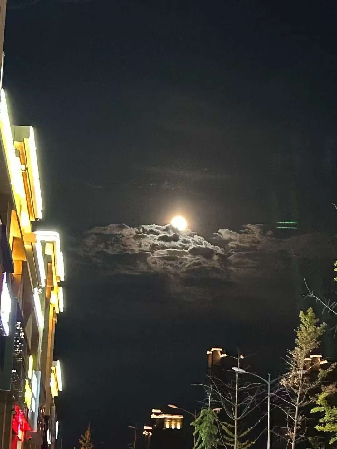 找各种类型搭子