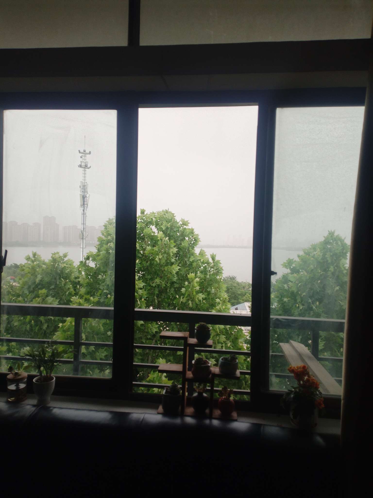找看电影搭子