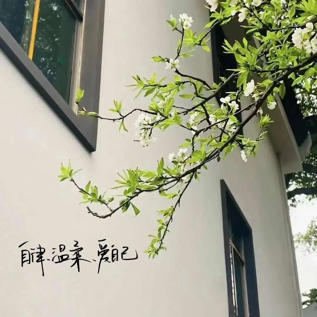 找运动搭子