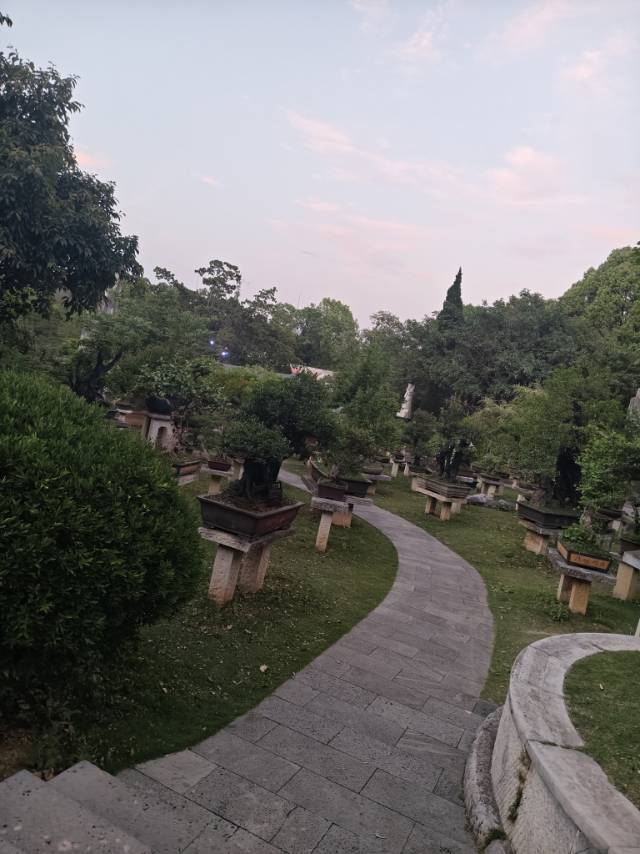 找逛街搭子