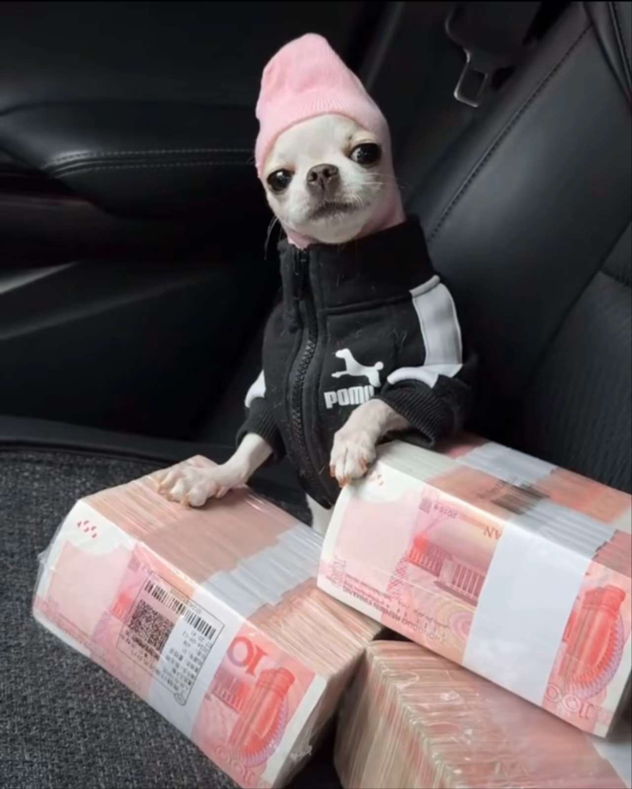 找旅游搭子