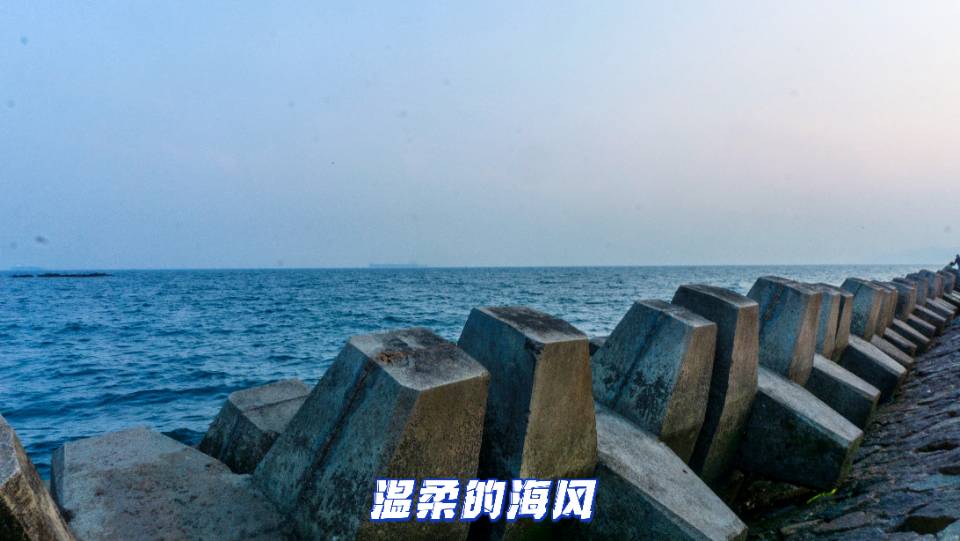 找旅游搭子