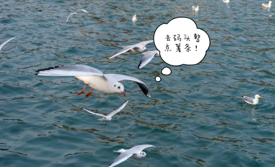 找旅游搭子