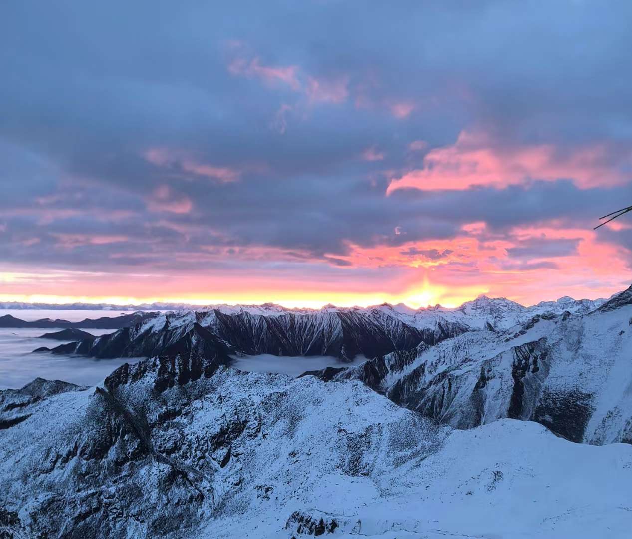 找旅行搭子