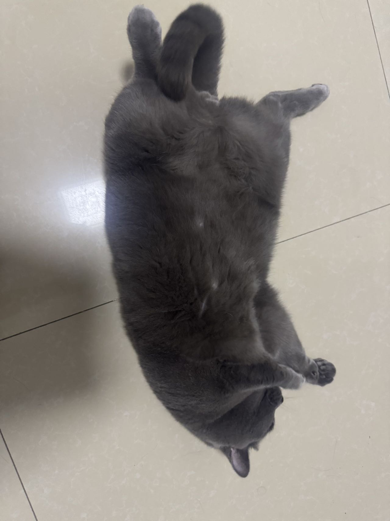 找运动搭子
