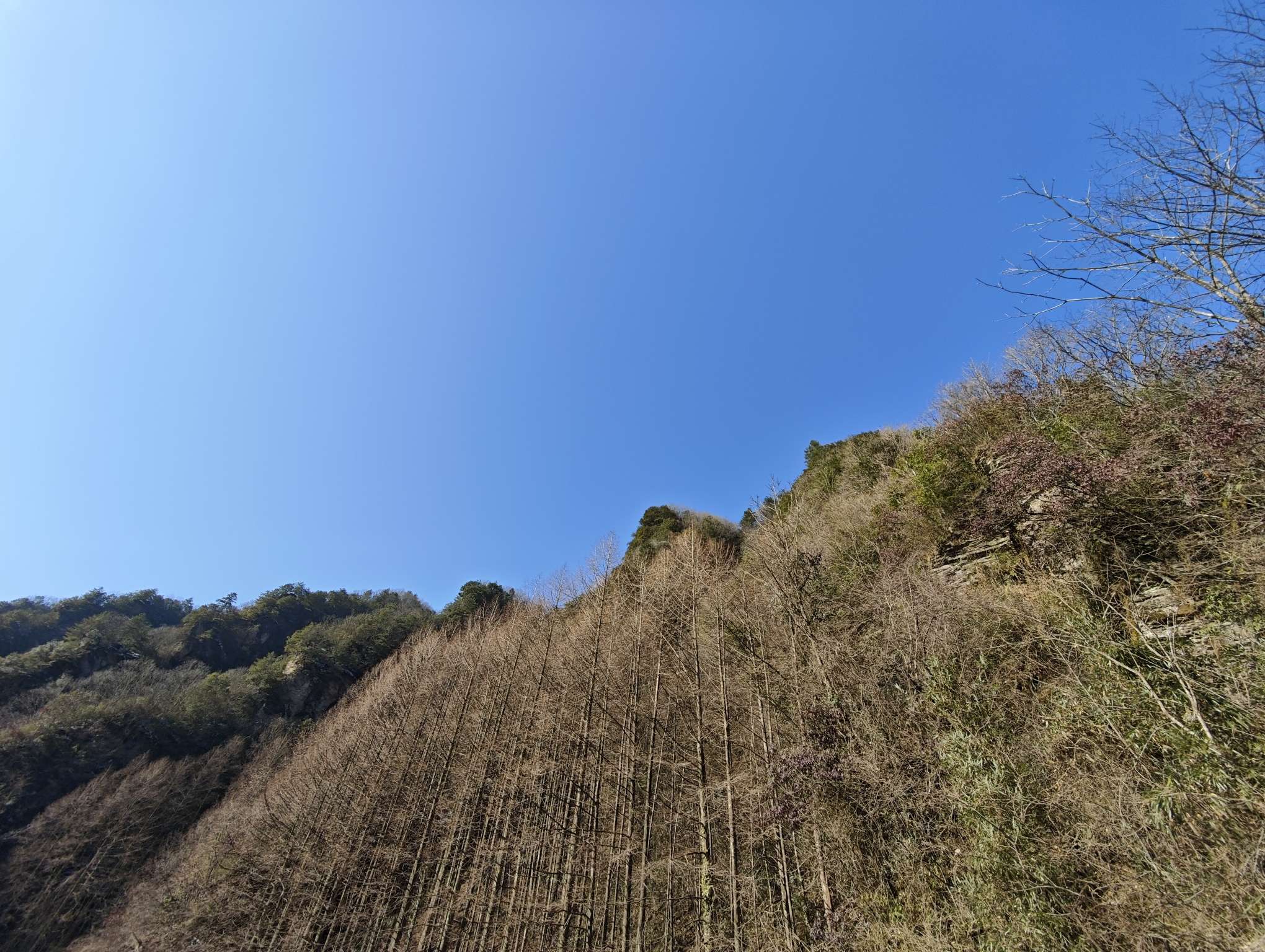 找逛街搭子