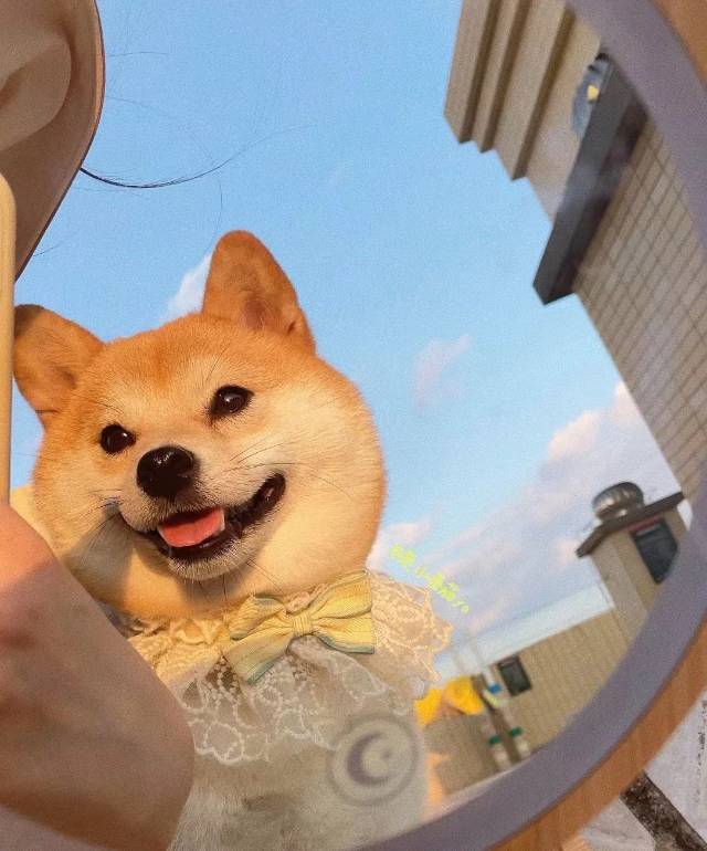 找台球搭子