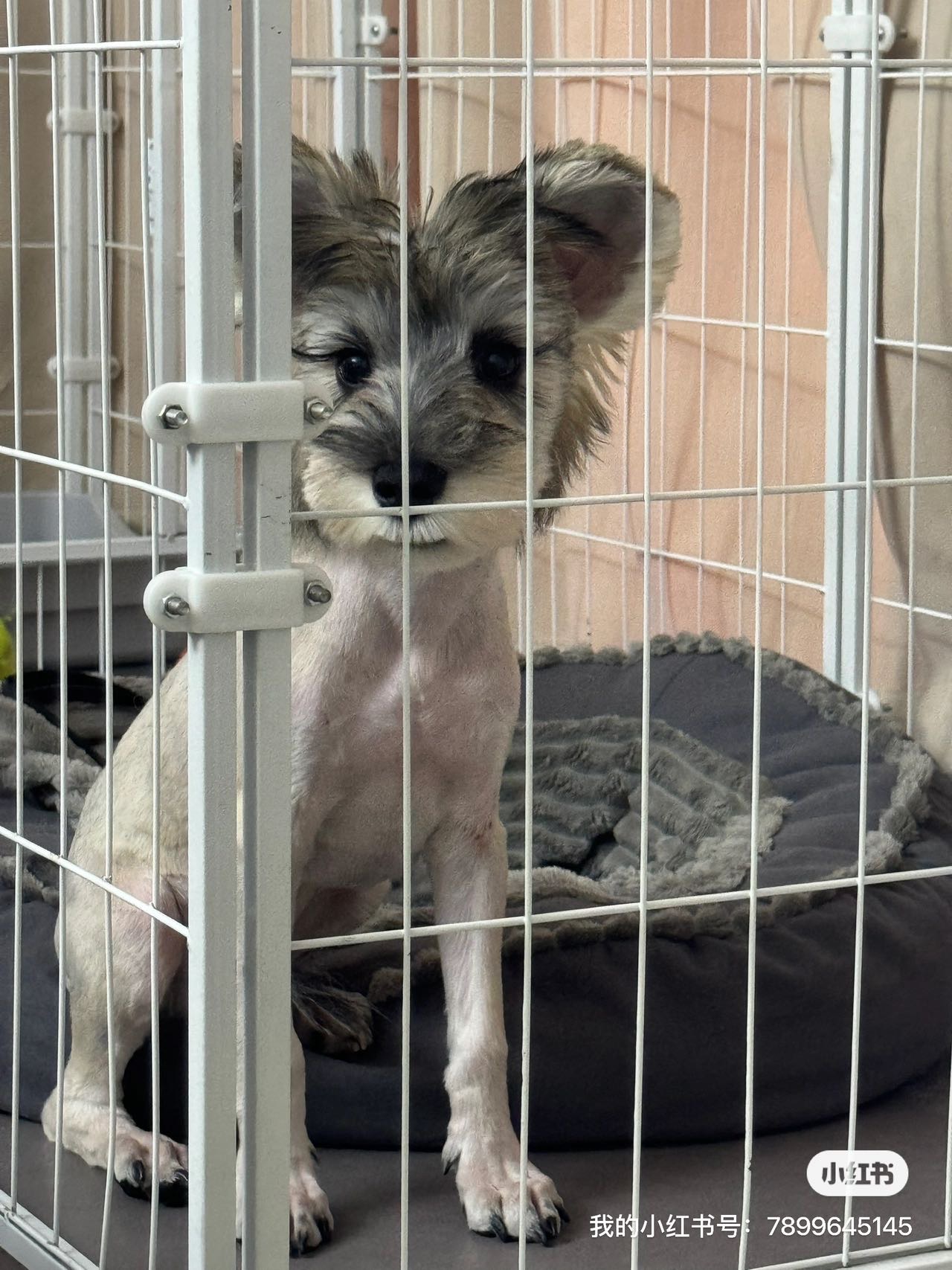 找运动搭子
