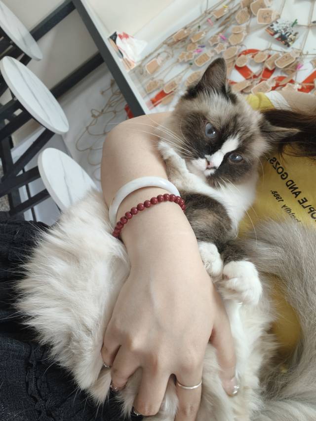 找游搭子