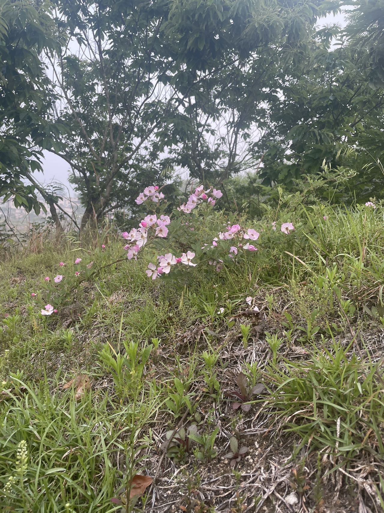 找运动搭子