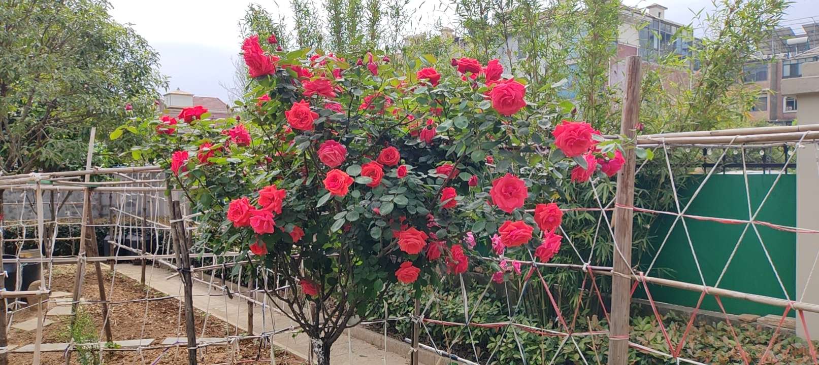 找麻将搭子