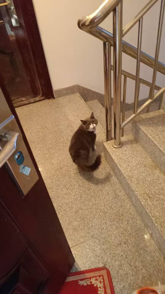 找约会搭子