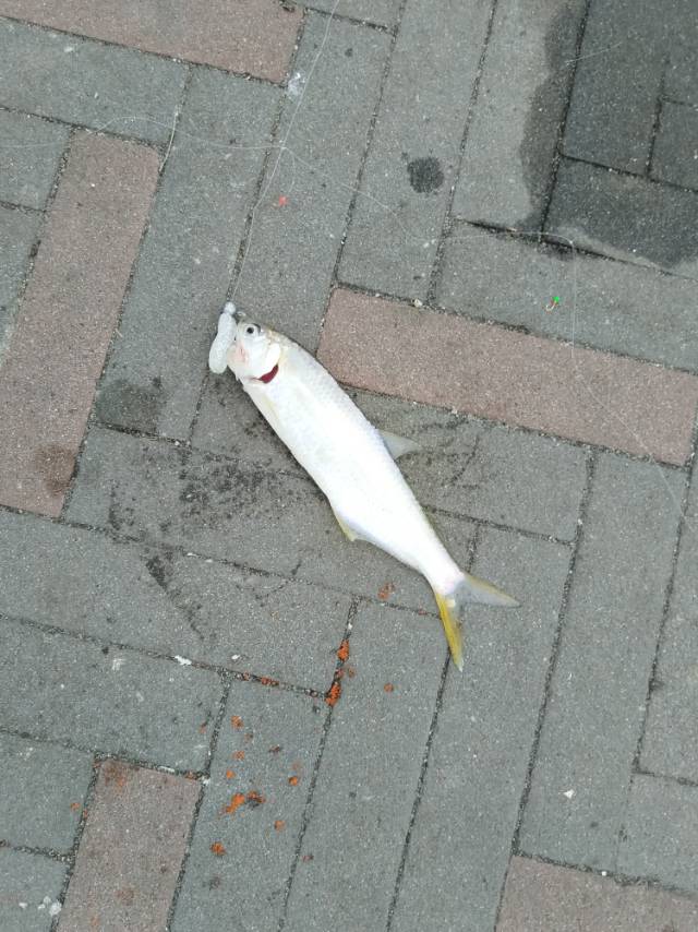 找运动搭子