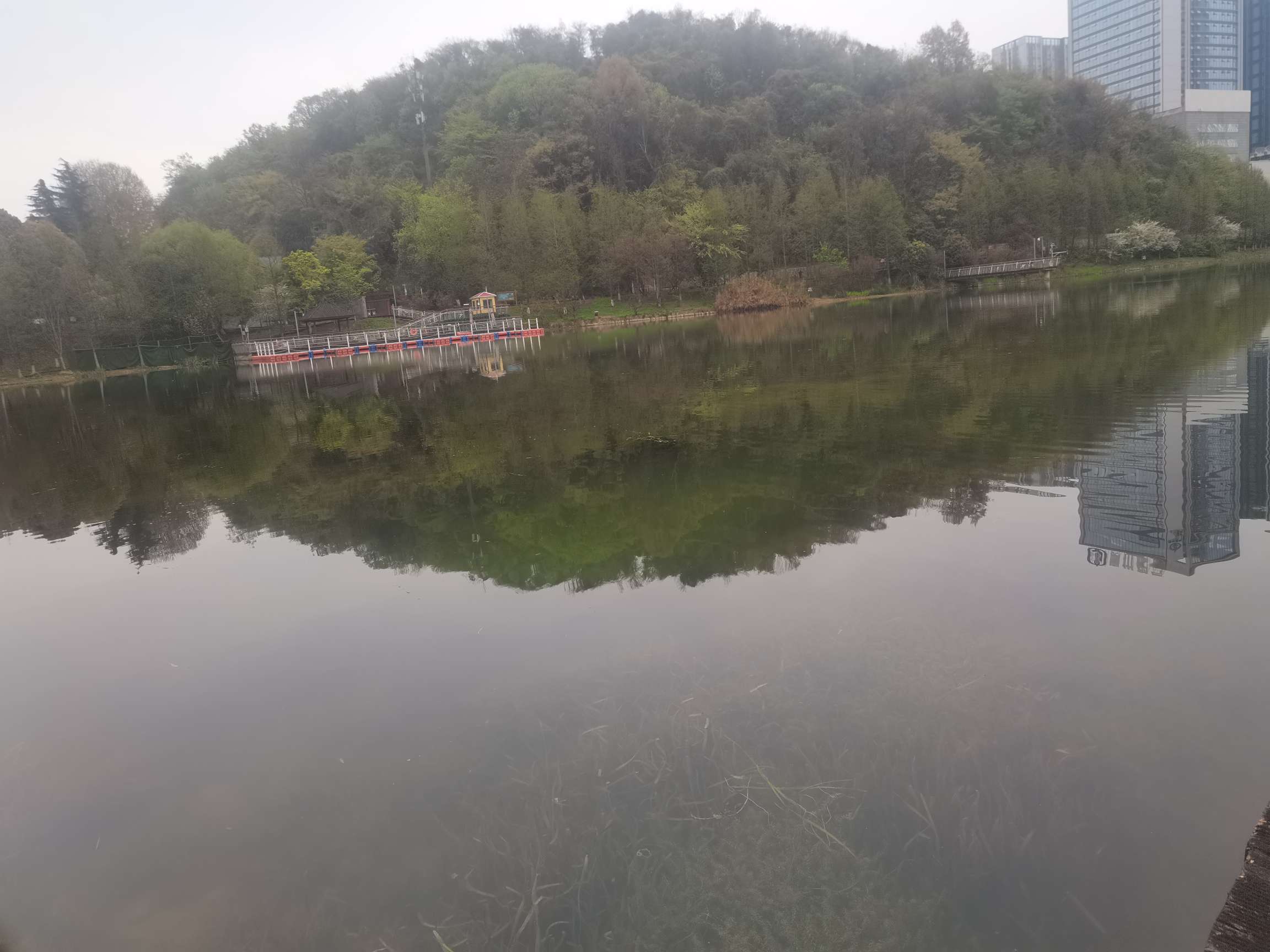 找学习搭子