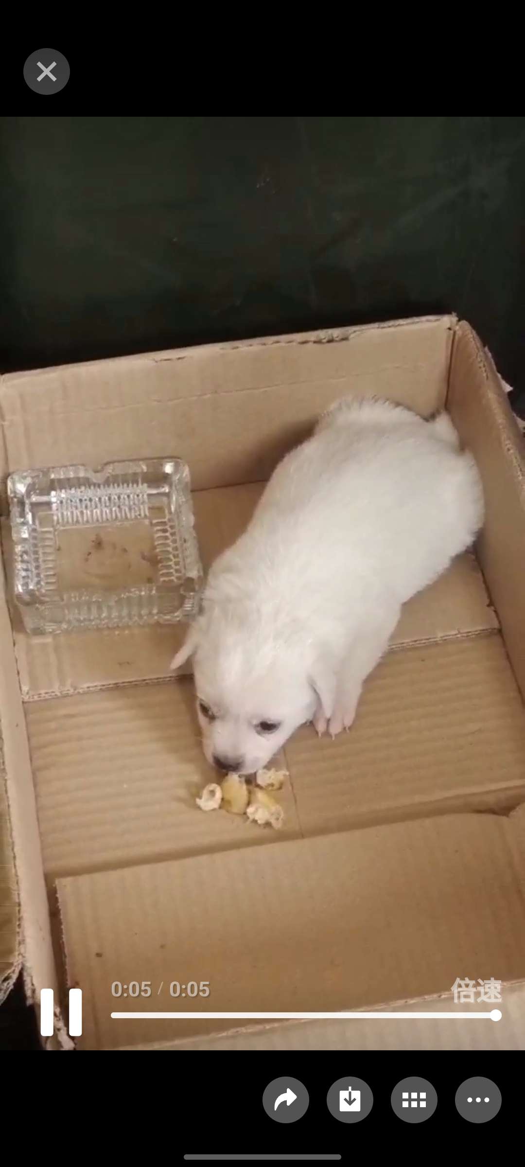 找生活搭子
