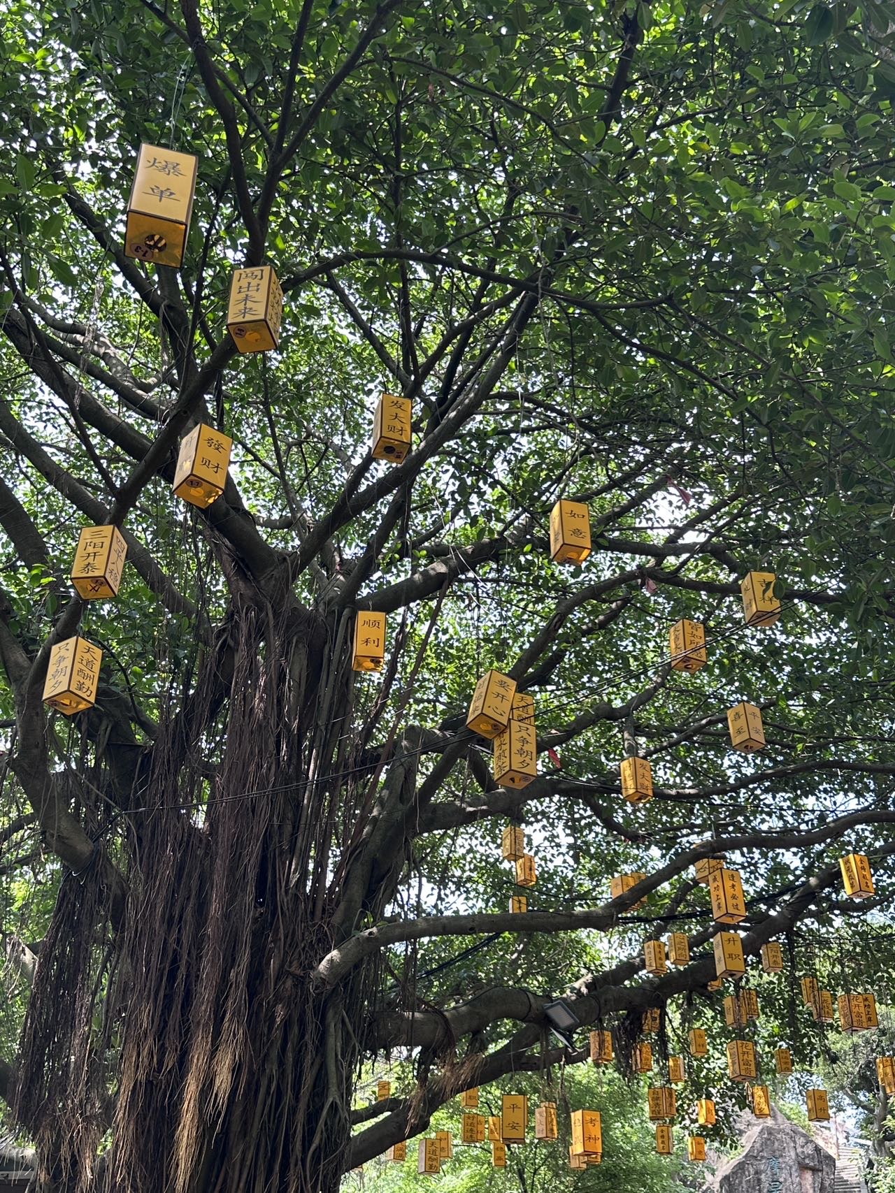 找旅游爬山露营搭子