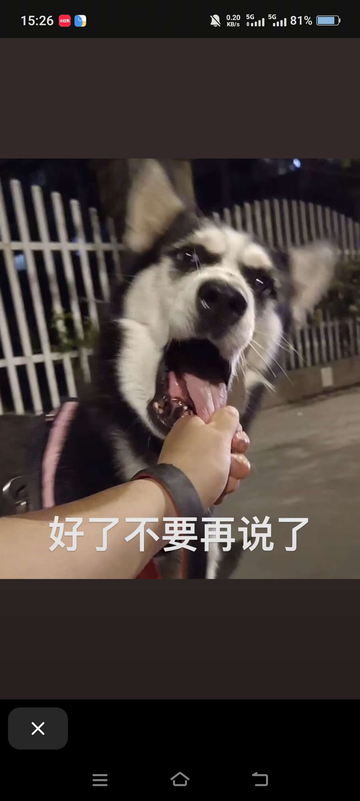 找旅游搭子