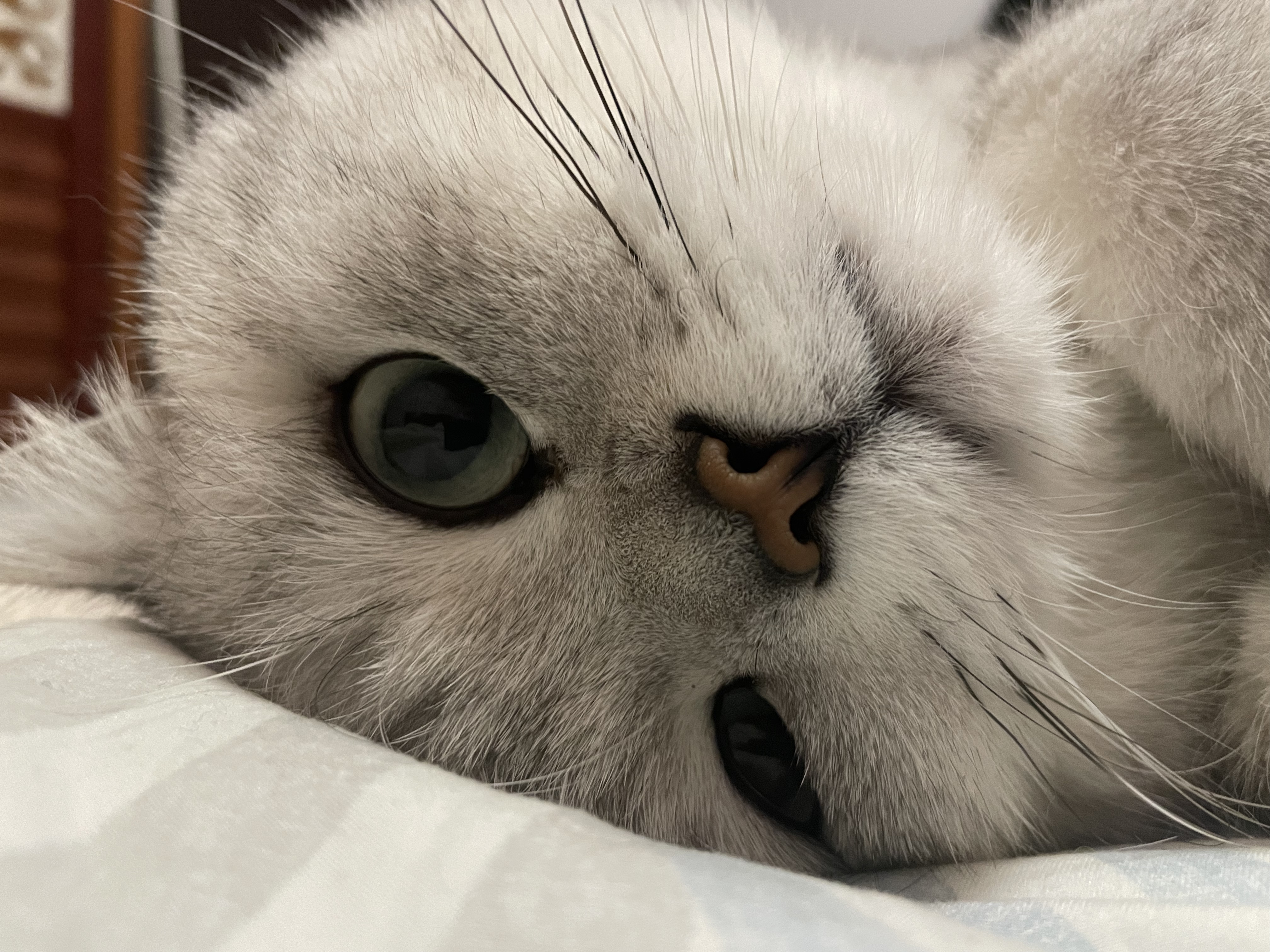 找运动搭子