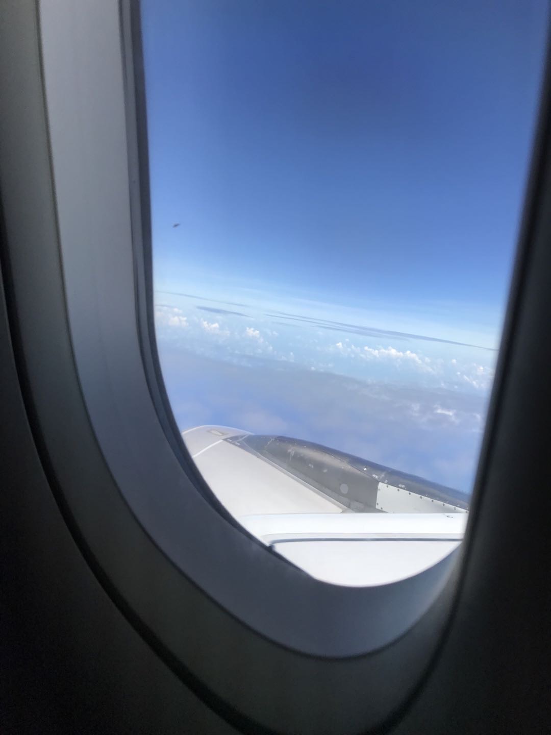 找旅游搭子