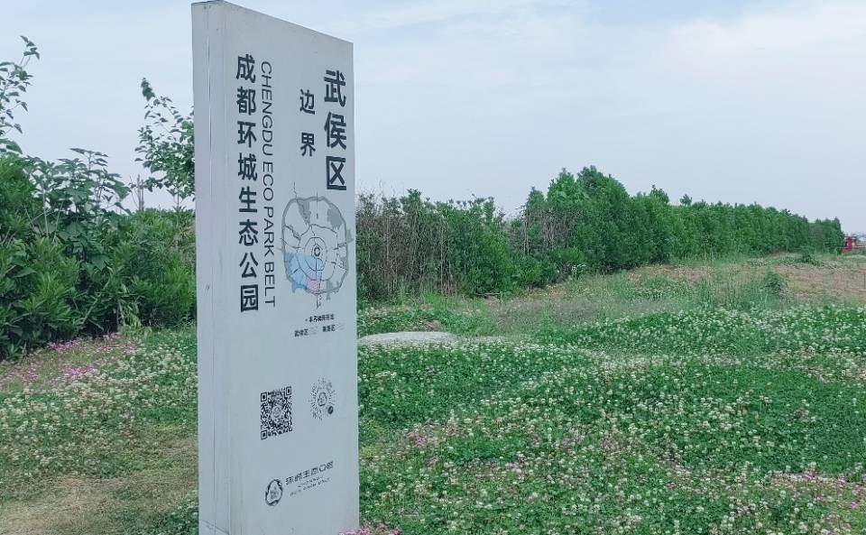 找运动搭子