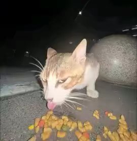 找打台球搭子