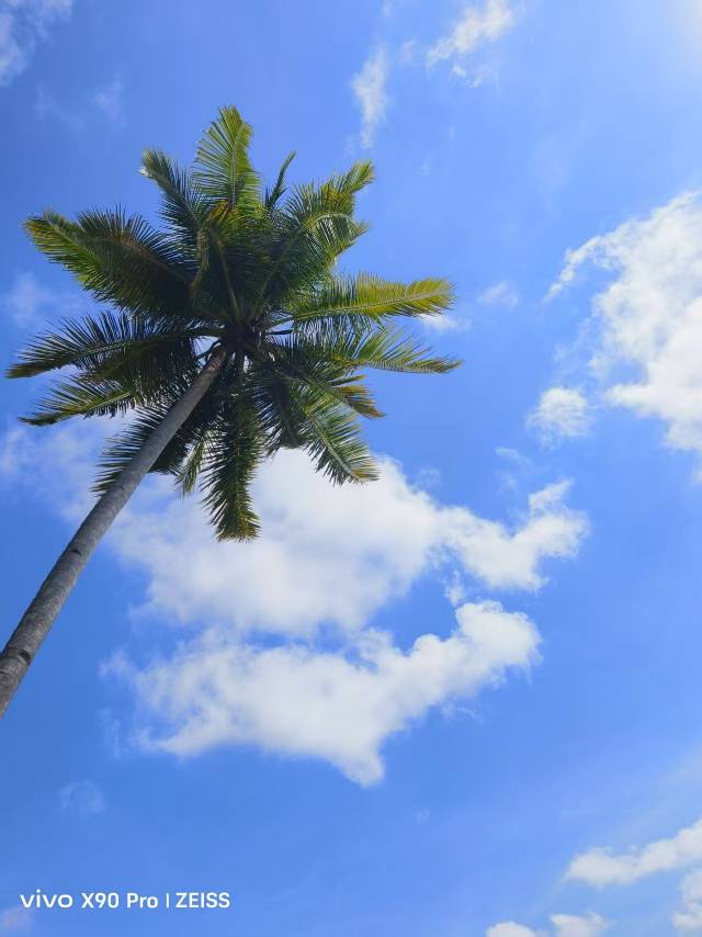 找旅游搭子