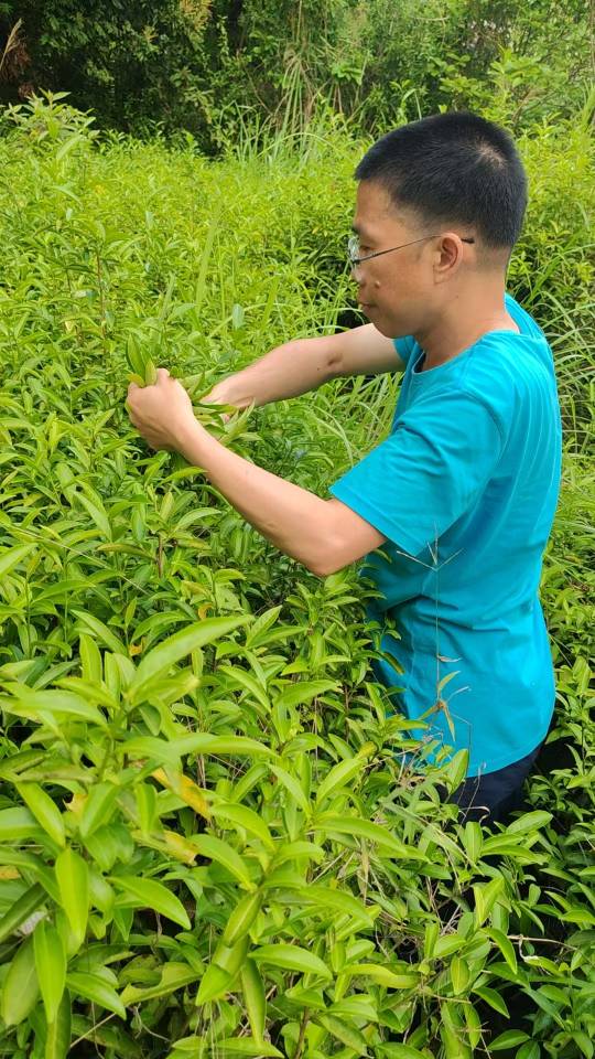 找跑步搭子