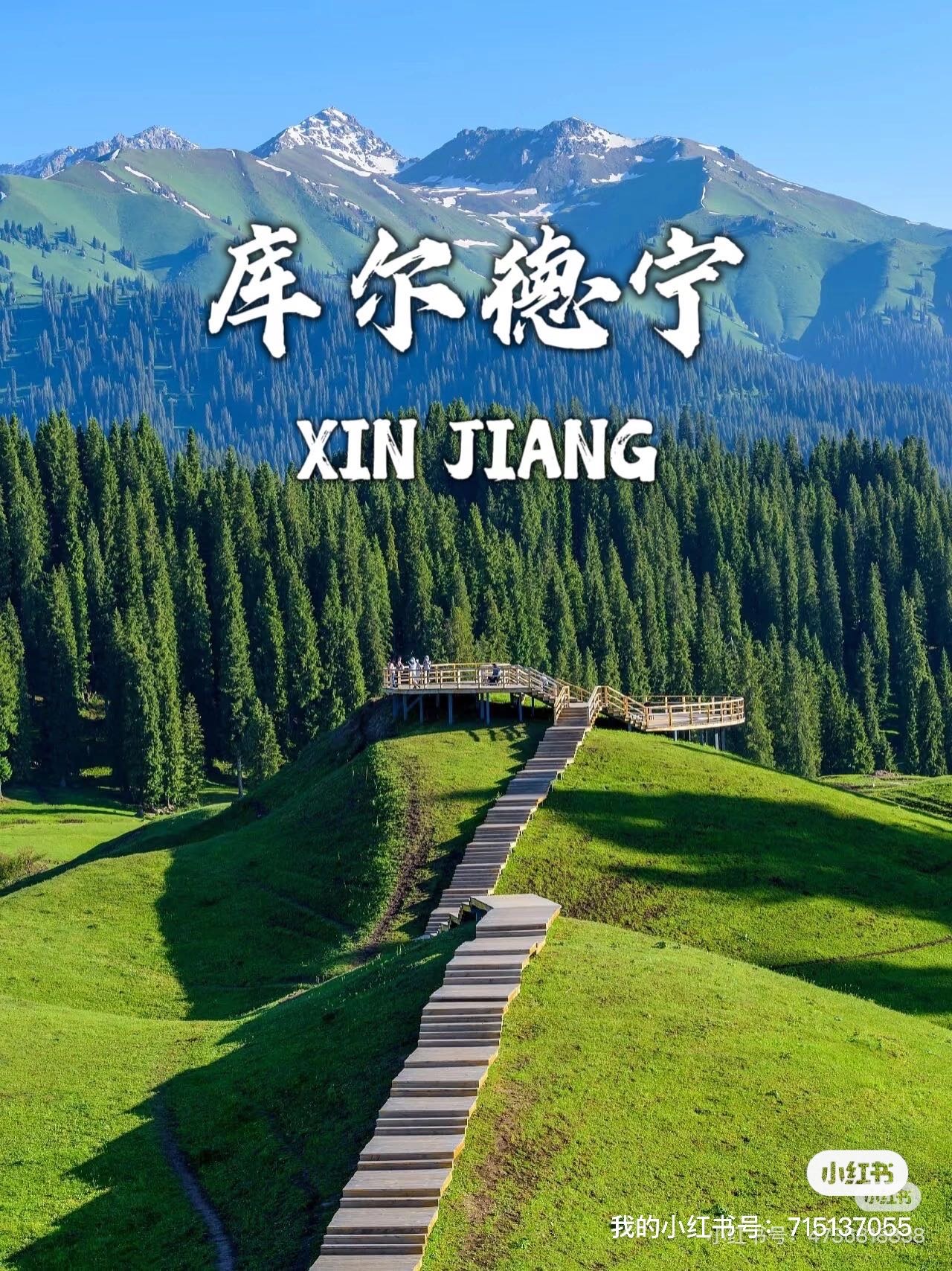 找旅游搭子
