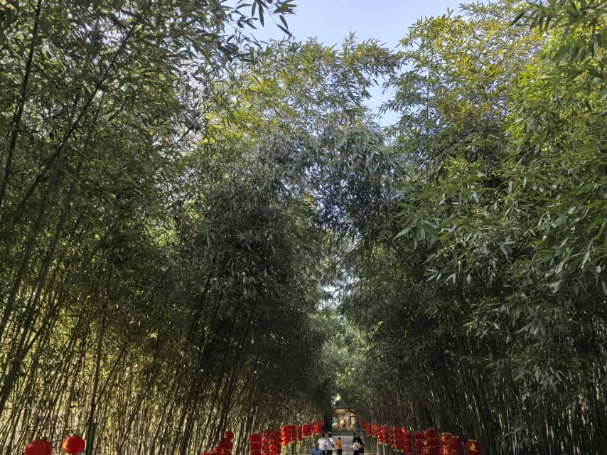 找旅游搭子